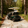 Mini carrito de golf eléctrico chino de 2 asientos - EG202EK