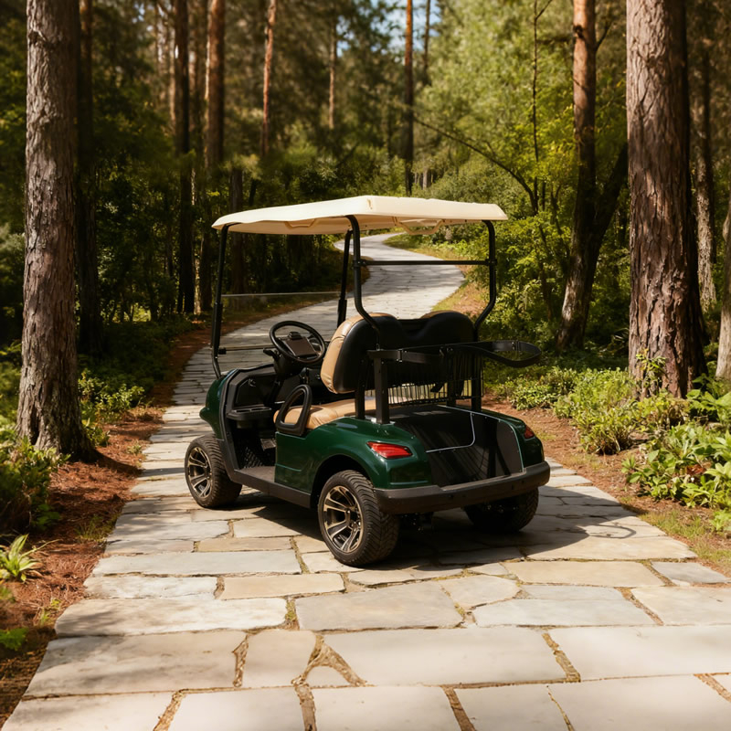 Mini carrito de golf eléctrico chino de 2 asientos - EG202EK