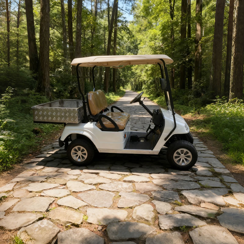 Carro de golf con caja de carga de aluminio - EG2028H