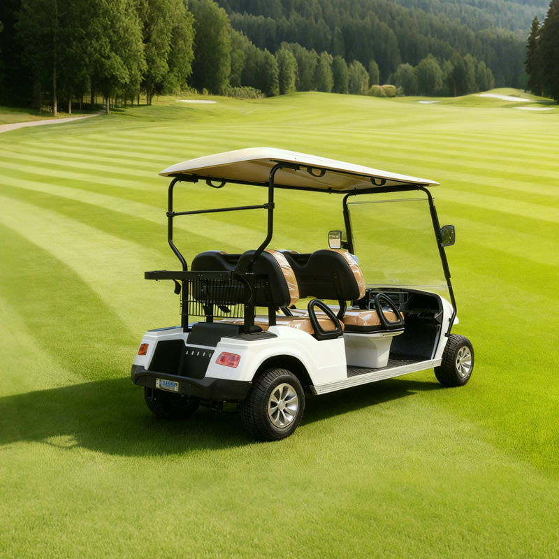 Carro de golf eléctrico con batería de litio de alta calidad personalizado a la venta - EG2048K