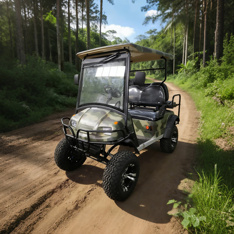 Buggy eléctrico todoterreno personalizado para vehículo utilitario de 4 plazas - EG2020ASZ