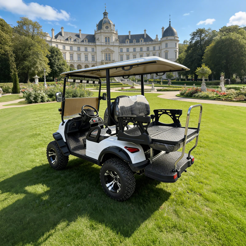 Carro de golf eléctrico elevado de lujo de 4 plazas - EG202DKSZ