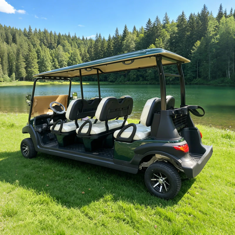 Carros Palos De Golf Electricos Nuevos Chinos Republica Dominicana Personalizados - EG206AK