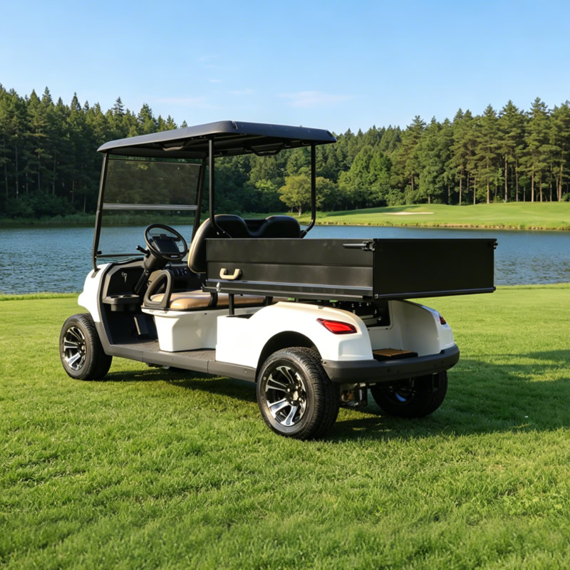 Buggy para carritos de golf utilitarios con caja de carga - EG204EHCX
