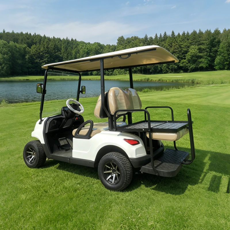 Carro de golf eléctrico de lujo de 4 plazas - EG202EKSZ