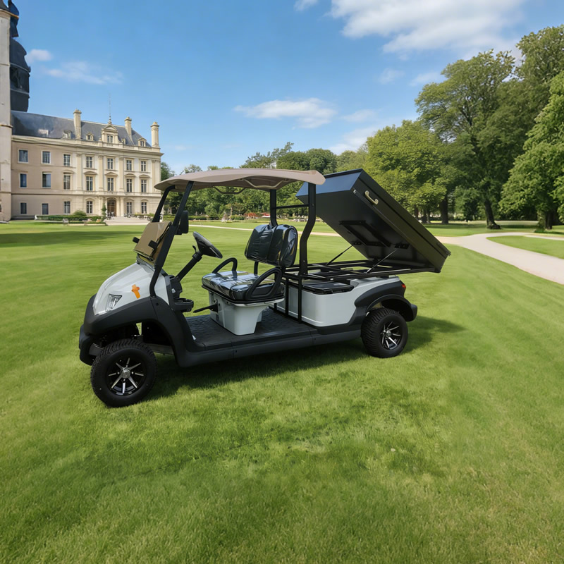 Cama utilitaria personalizada para carrito de golf con caja de carga a la venta - EG204AHCX