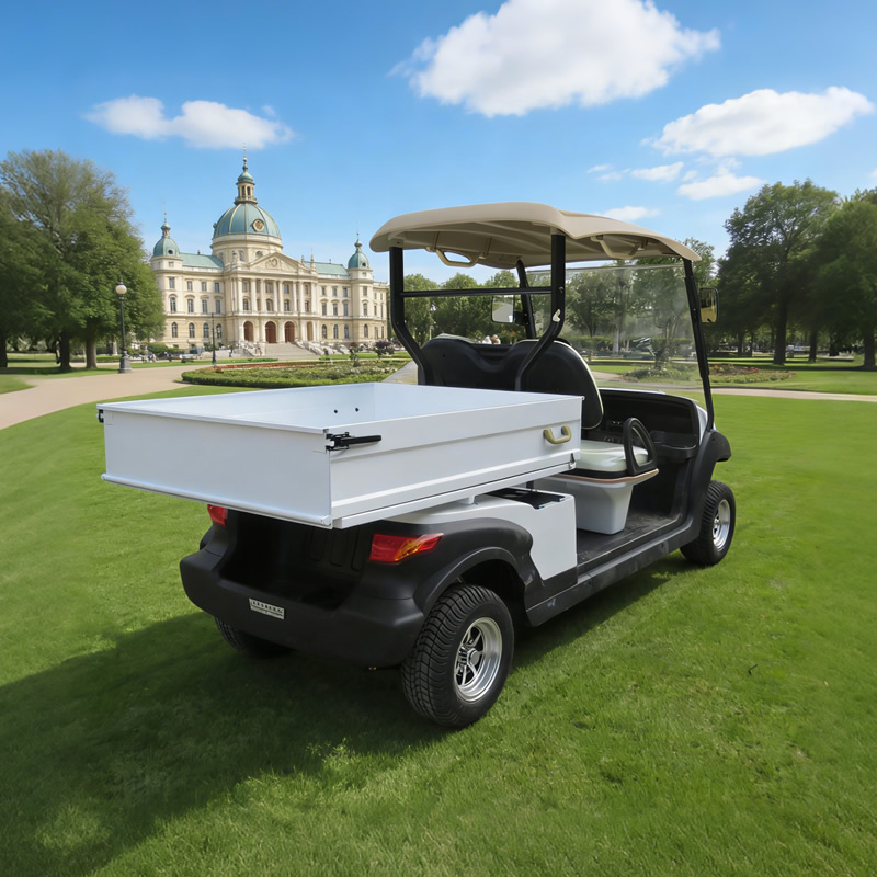 Carro de golf eléctrico utilitario de 2 plazas con caja - EG204AHCX