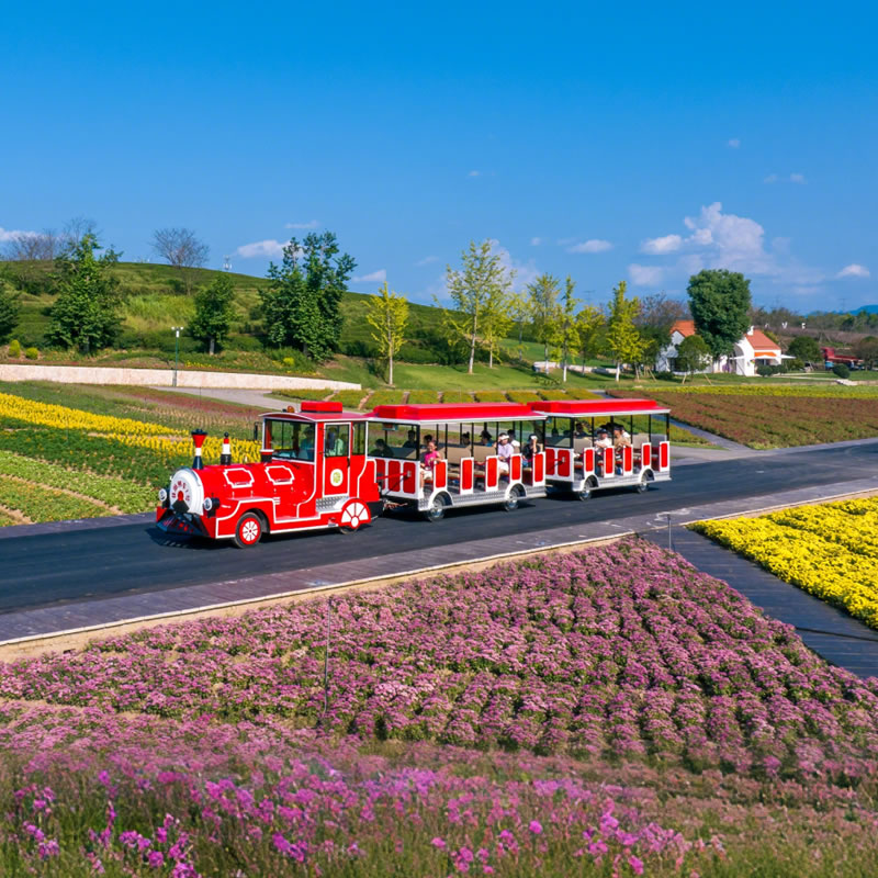Fabricante líder de trenes sin rieles | Trenes Turísticos Eléctricos Directo De Fábrica