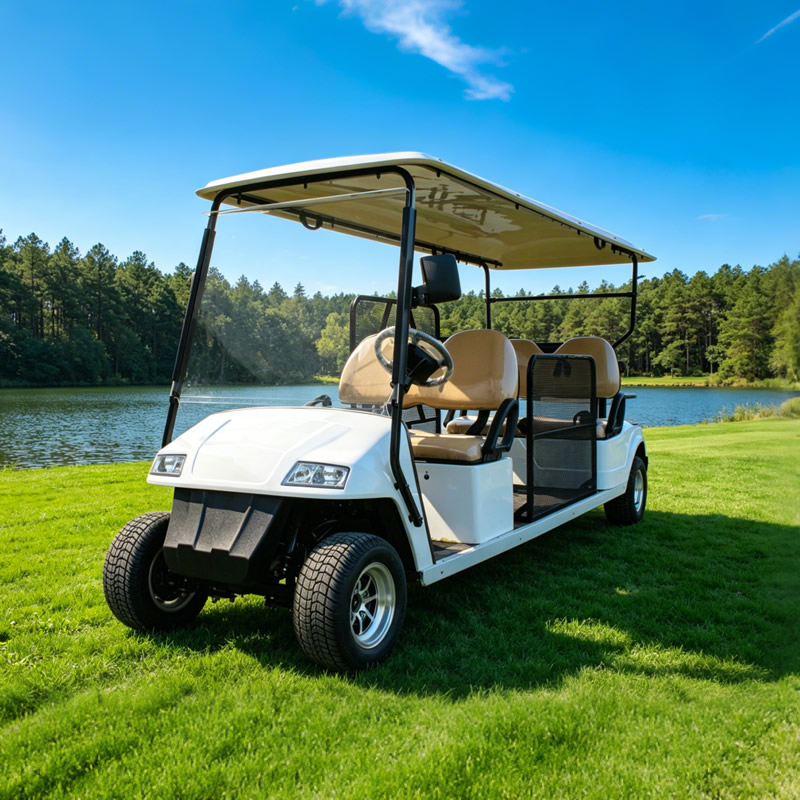 Carro de golf eléctrico para discapacitados accesible en silla de ruedas/carro turístico con rampa para silla de ruedas - EG2068T