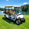 Mini camión de carga eléctrico Street Legal, carrito de golf Lsv con caja - EG2048HR