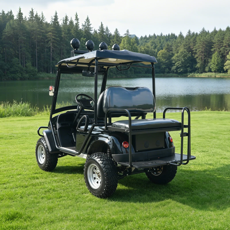 Carro de golf todoterreno eléctrico 4WD 4X4 | Buggy todoterreno de caza de servicio pesado Fabricante de China - EG6020A4D