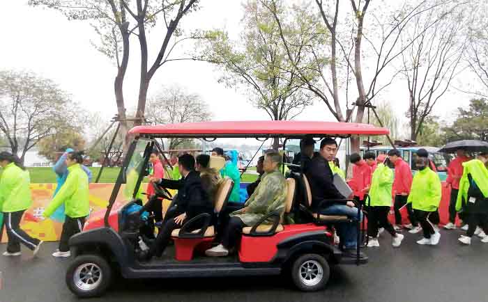 coche de golf &aacute;guila