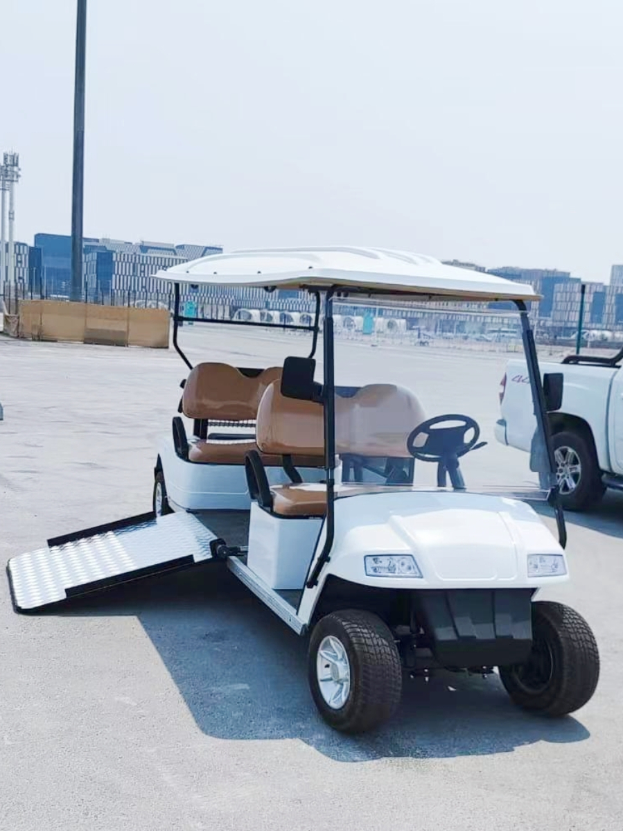 Carros de golf el&eacute;ctricos