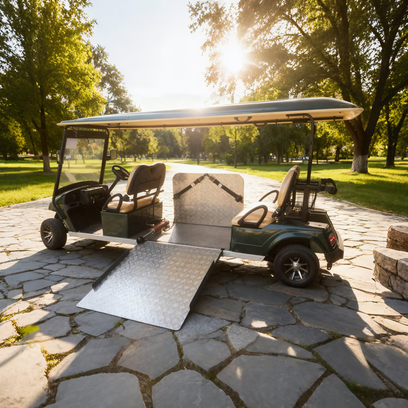 Fabricante personalizado al por mayor de carritos de golf para discapacitados - EG2068T
