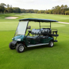 Carro de golf eléctrico personalizado chino de 6 plazas con batería de litio de 48 V OEM ODM - EG2048KSZ