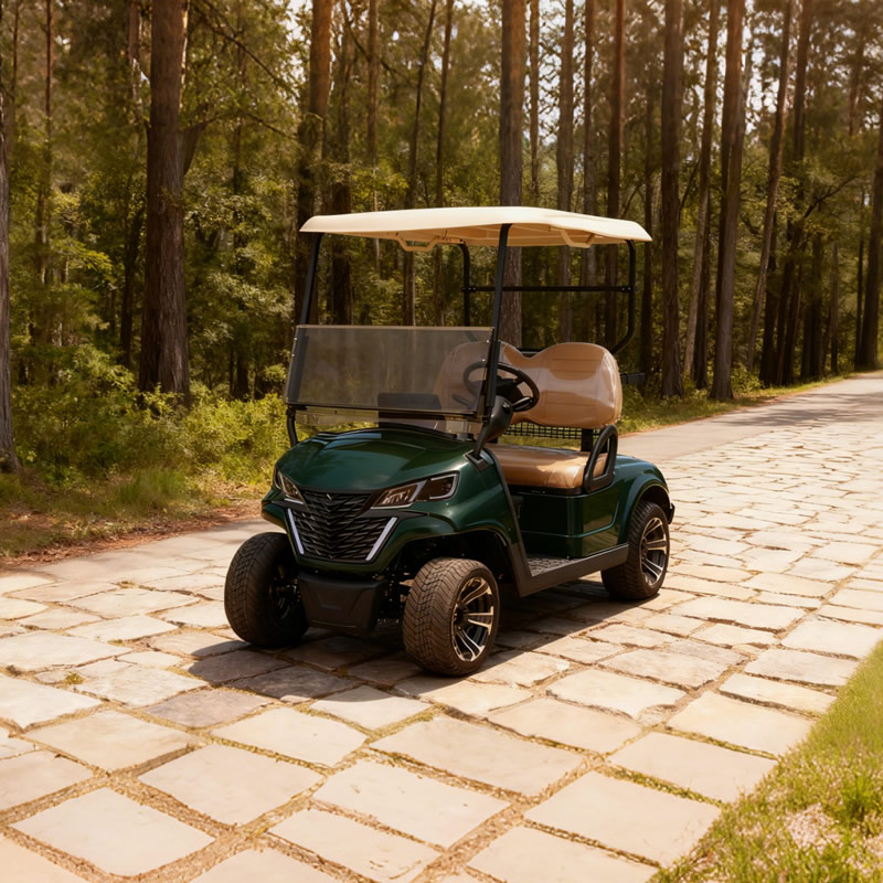 Mini carrito de golf eléctrico chino de 2 asientos - EG202EK