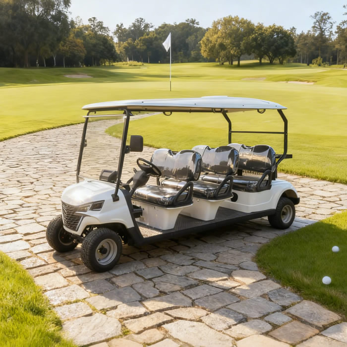 Precio de carritos de golf de 6 plazas al por mayor de importación - EG206EK