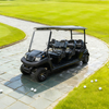 Principales fabricantes y proveedores de precios de carritos de golf de 6 plazas: EG206AK