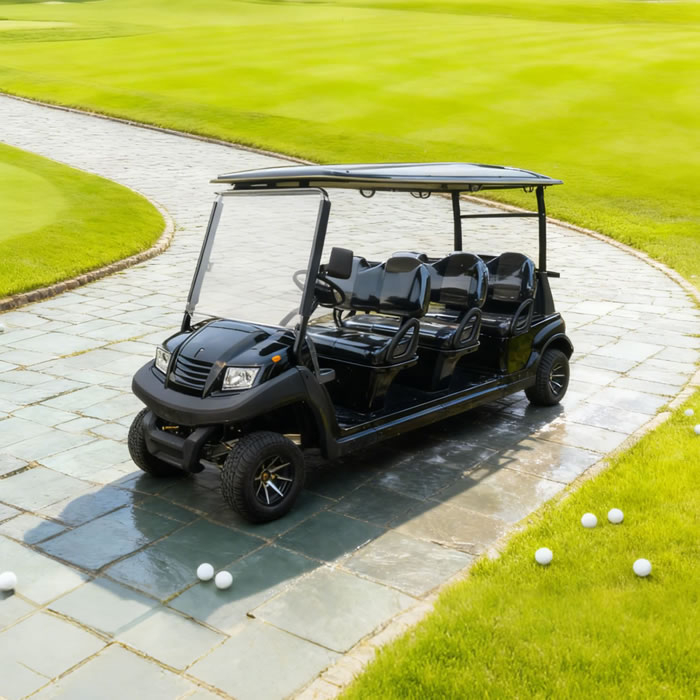 Principales fabricantes y proveedores de precios de carritos de golf de 6 plazas: EG206AK
