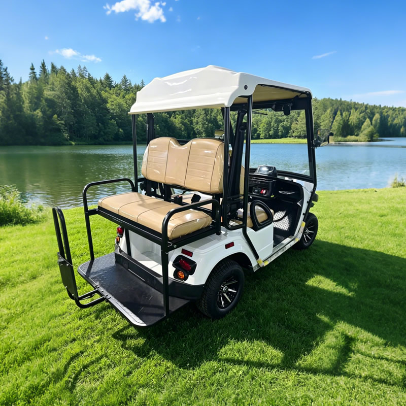 Carro de golf premium de 4 plazas - Suministro directo de fábrica - EG2028KSZR