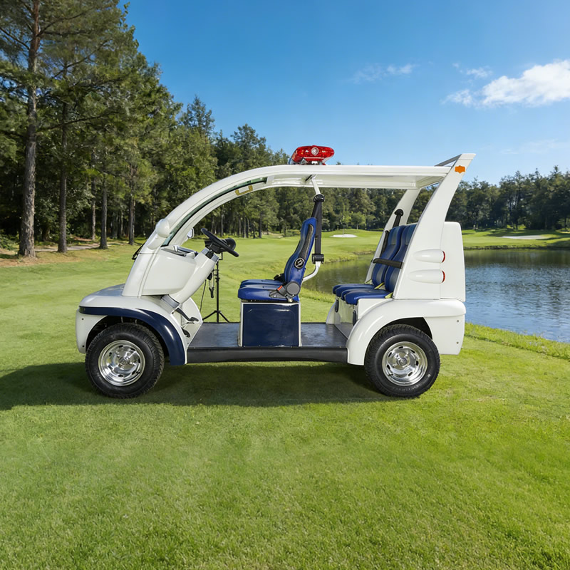 Fabricante mayorista de carrito de golf Battery Patrol - EG6043K