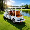 Carro de golf eléctrico de 6 plazas en venta - Proveedor de buggy de golf comercial de China - EG6063KA