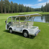 Fabricante de vehículos eléctricos de baja velocidad Lsv a la venta - EG6088K