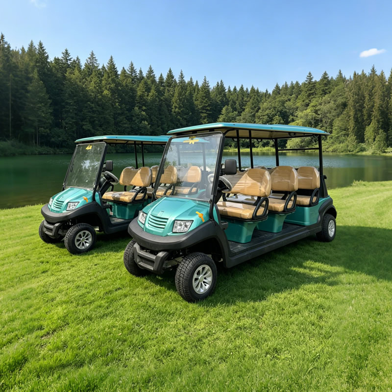 Carro de golf eléctrico para 6 personas | Precio de fábrica para campos de golf, hoteles y turismo - EG206AK