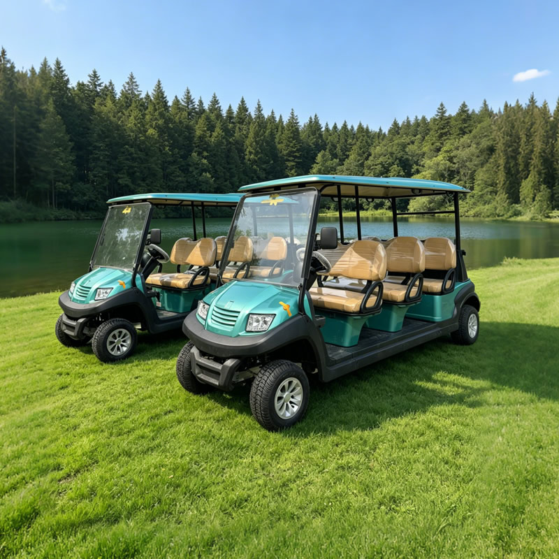 Carro de golf eléctrico para 6 personas | Precio de fábrica para campos de golf, hoteles y turismo - EG206AK