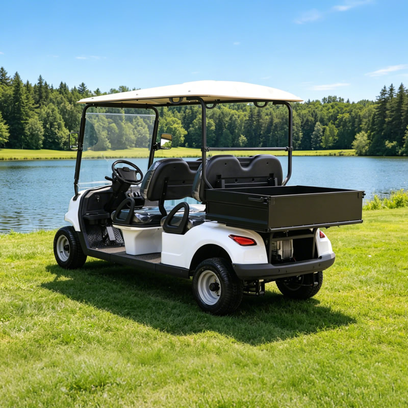 Carro de golf de 4 plazas y 48 V con caja de carga - EG204EH