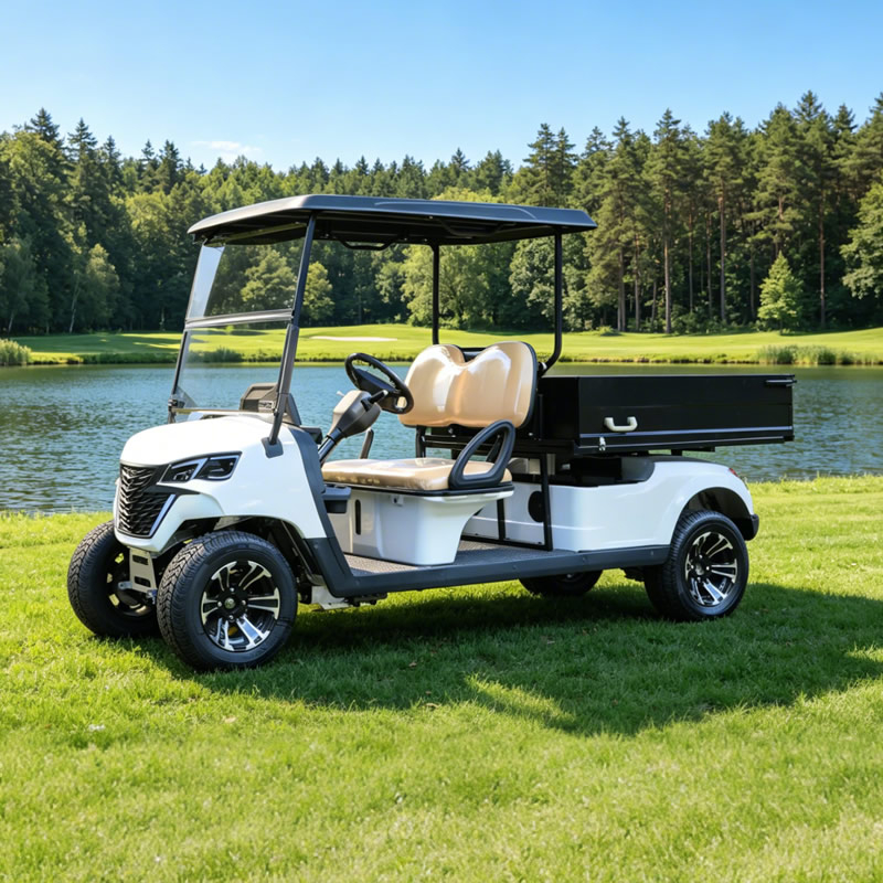 Buggy para carritos de golf utilitarios con caja de carga - EG204EHCX