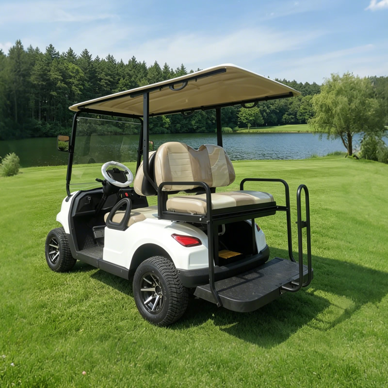 Carro de golf eléctrico de lujo de 4 plazas - EG202EKSZ