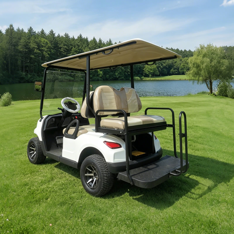 Carro de golf eléctrico de lujo de 4 plazas - EG202EKSZ