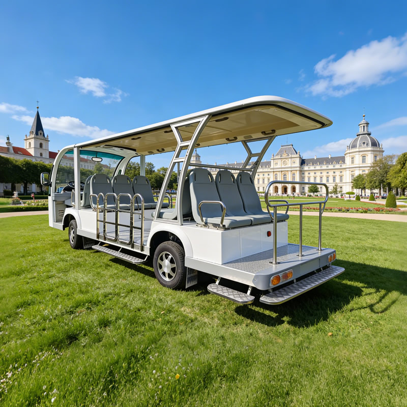 Coche turístico accesible para sillas de ruedas para discapacitados eléctrico directo de fábrica con rampa plegable para discapacitados y ancianos - EG6158T