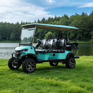 Carros elevados eléctricos de litio personalizados al por mayor Carro de golf de 6 plazas - EG204DKSZ
