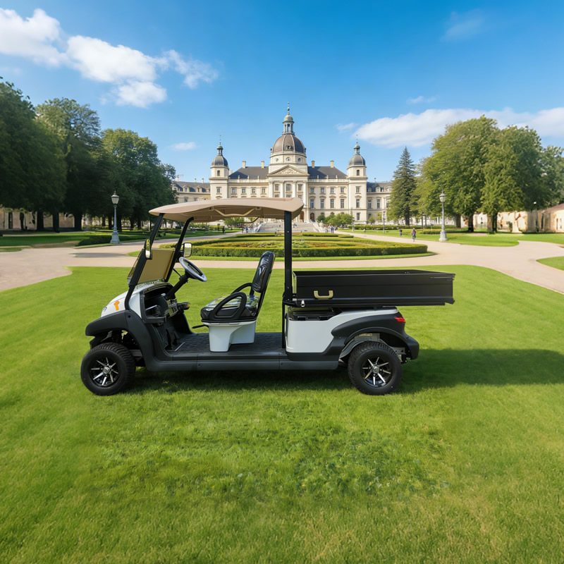 Cama utilitaria personalizada para carrito de golf con caja de carga a la venta - EG204AHCX