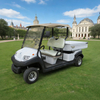 Carro de golf eléctrico utilitario de 2 plazas con caja - EG204AHCX