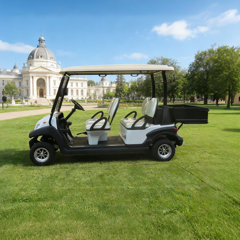Fabricante de carritos de golf eléctricos de 48 V para vehículos duraderos y 4 plazas - EG204AH