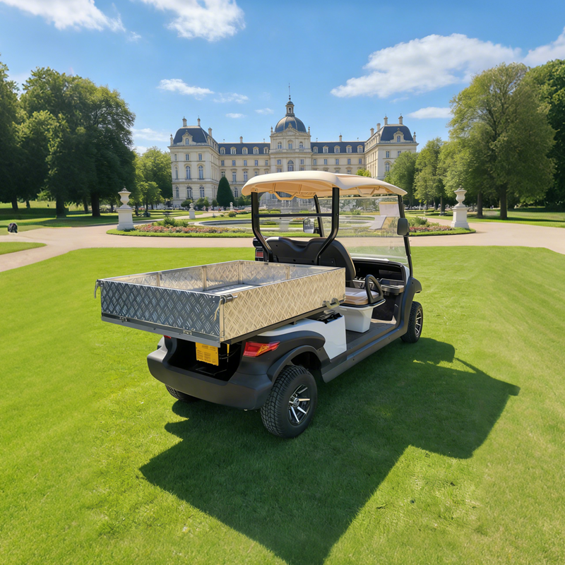 Carro de golf eléctrico con caja de carga para uso general a la venta - EG204AHCX