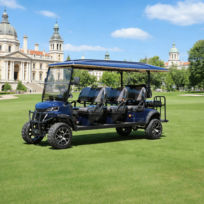 Carro de golf eléctrico personalizado de litio para pasajeros, 6+2 y 8 plazas - EG206DKSZ