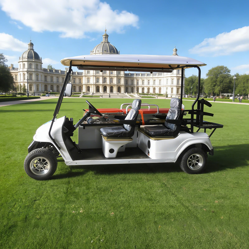 Cama con carrito de golf para ambulancia de litio de 2 plazas personalizada - EG2048TB1