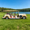 Autos eléctricos antiguos y autobuses turísticos de primera calidad | Directo de fábrica - EG6120K