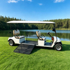 Carro de golf eléctrico para discapacitados accesible en silla de ruedas/carro turístico con rampa para silla de ruedas - EG2068T