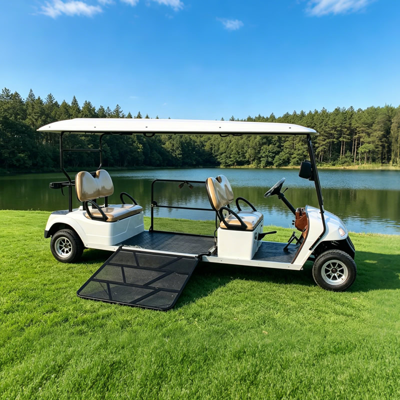 Carro de golf eléctrico para discapacitados accesible en silla de ruedas/carro turístico con rampa para silla de ruedas - EG2068T
