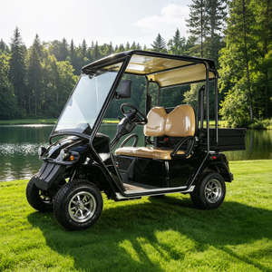 China Mini buggy todoterreno de golf eléctrico de caza de 2 plazas - EG2028HR