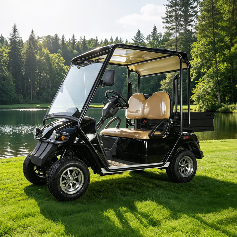 China Mini buggy todoterreno de golf eléctrico de caza de 2 plazas - EG2028HR
