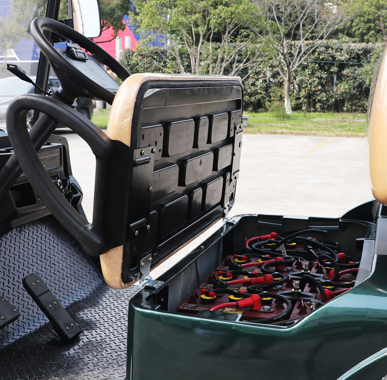 Carros de golf de caza todoterreno de utilidad personalizada