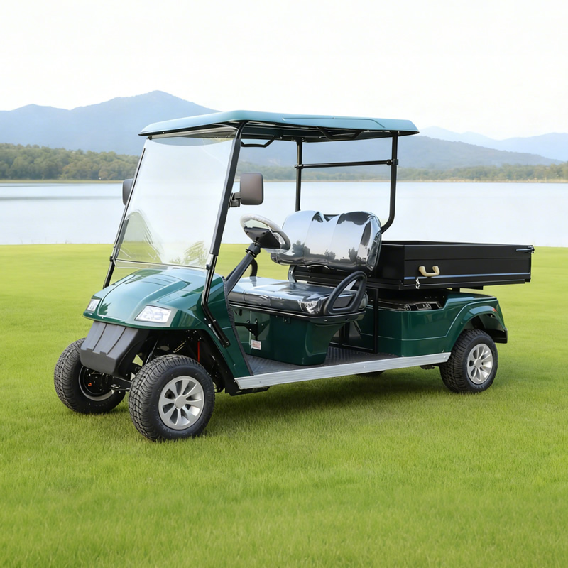 Precio de carrito de golf de empresa de fabricante personalizado con plataforma volcadora de carga - EG2048HCX