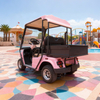 Carro de golf eléctrico Mimi personalizado con buggy todoterreno con caja - 2028HR