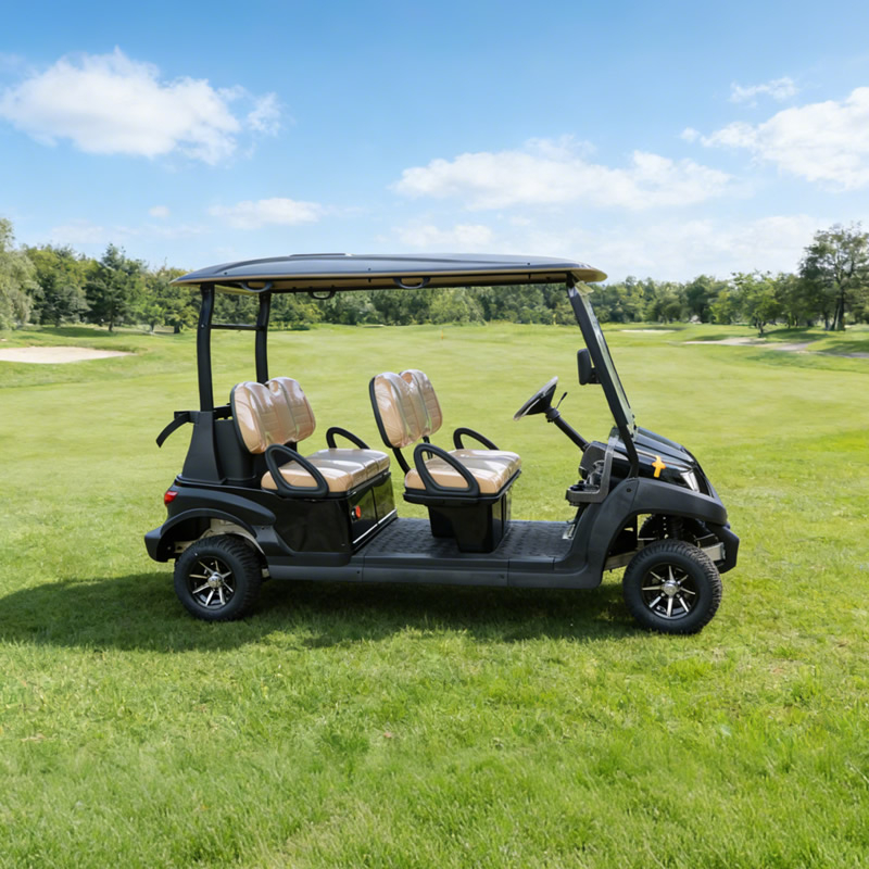 Buggy de carritos de golf de 4 plazas con batería de litio personalizado a la venta - EG204AK